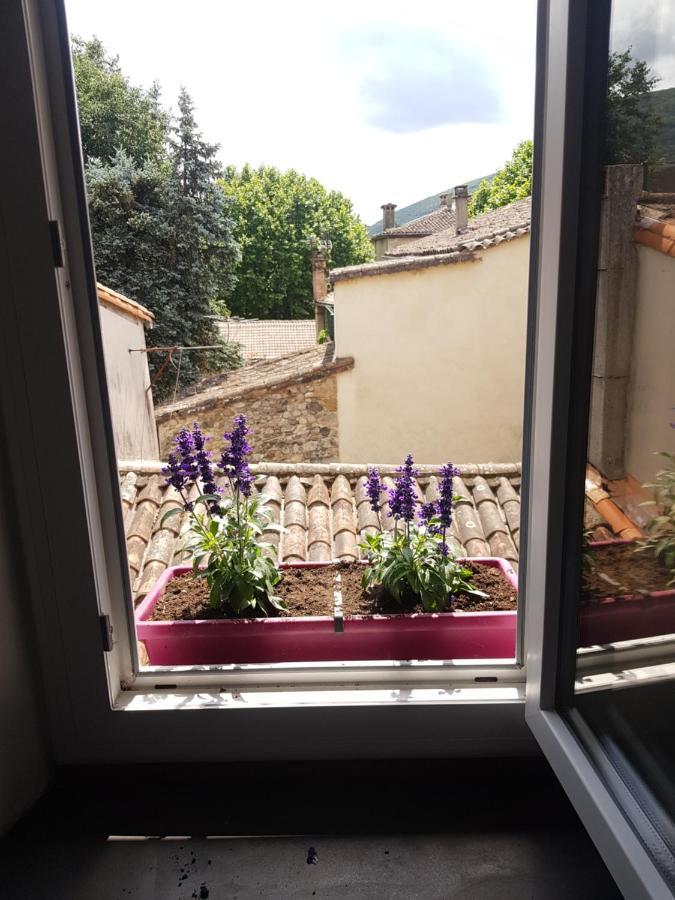 Duplex avec spa et terrasse en plein centre du village Saint-Jean-du-Gard Extérieur photo